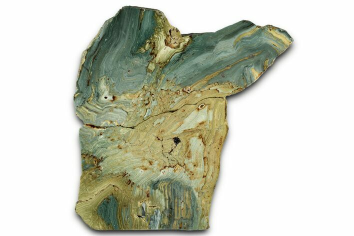 Free-Standing, Gary Green Jasper (Larsonite) Bog Wood - Oregon #334752